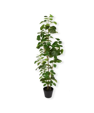 Planta artificial araliaceae 122cm