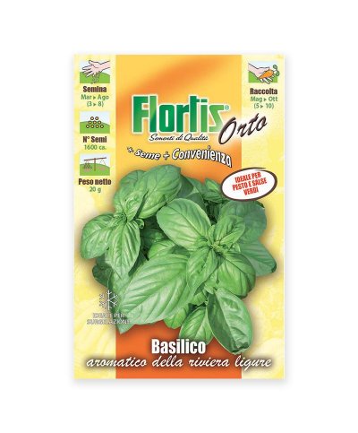 Semente basilico folha