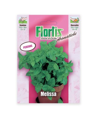 Semente erva cidreira-melissa