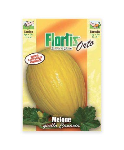 Semente melao giallo canaria