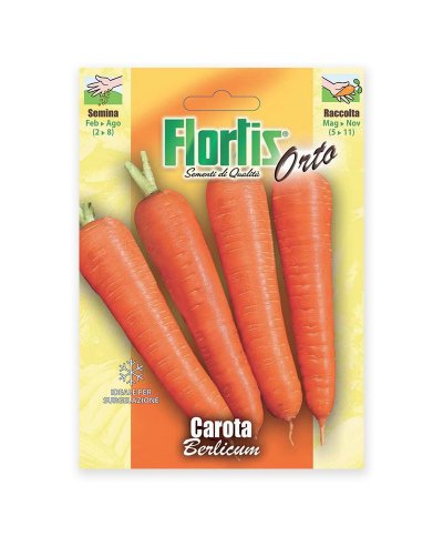 Semente cenoura carota berlicum