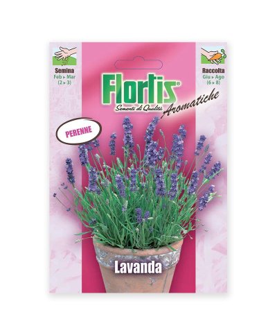 Semente lavanda
