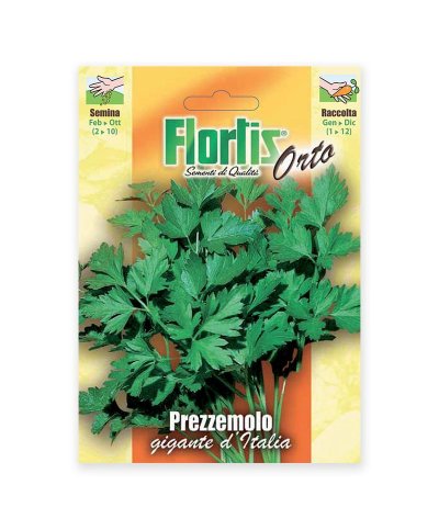 Semente salsa gigante