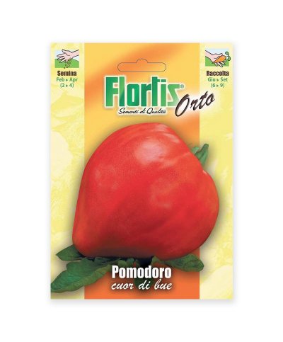 Semente tomate coracao de boi