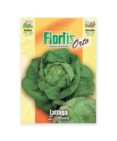 Sementes de Alface S.Anna | Casa Alves