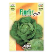 Sementes de Alface S.Anna | Casa Alves