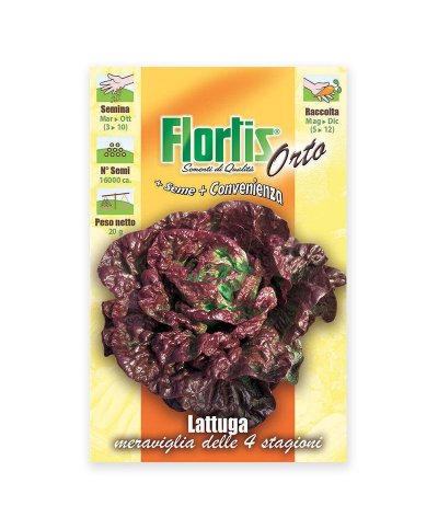 Semente alface 4 estacoes