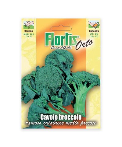 Semente brocolos