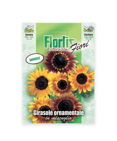 Semente girassol ornamental