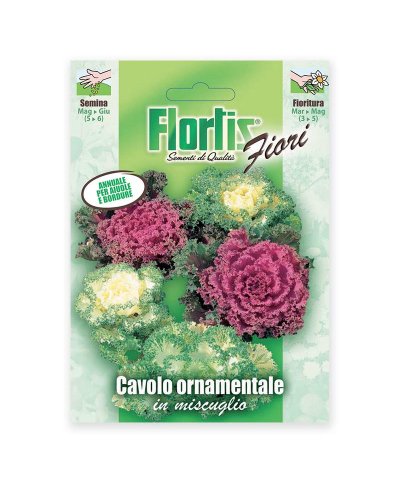 Semente couve ornamental