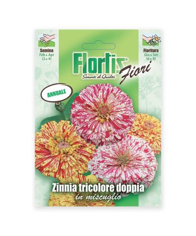 Semente zinnia tricolor