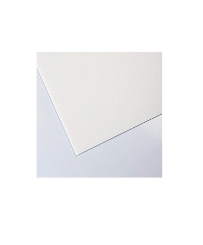 Placa plastonda branco 50x50cm 2,5mm