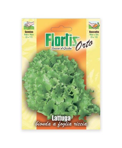 Semente alface de folha larga