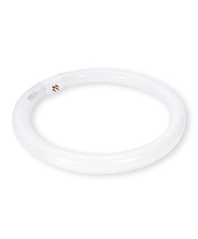 Lampada fluo. T9 circular 22W 6500K G10q