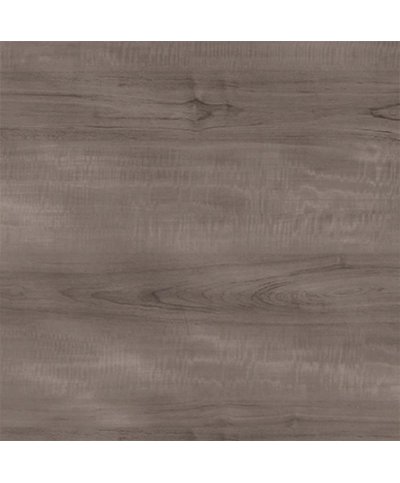 Rolo adesivo 45cmX2m koala