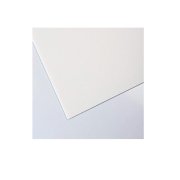 Placa plastonda branco 50x100cm 2,5mm