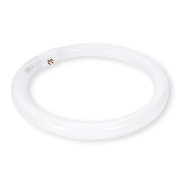 Lampada fluo. T9 circular 22W 6500K G10q