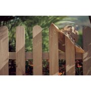 Cerca de madeira 180x80cm