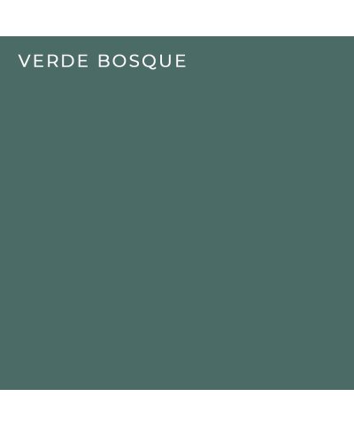 Weber.color premium verde bosque (5 kg)