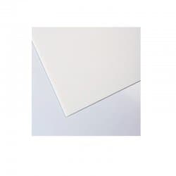 Placa plastonda branco 50x50cm 2,5mm Polimark 