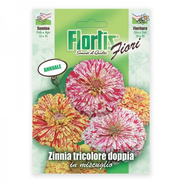 Semente zinnia tricolor Flortis 