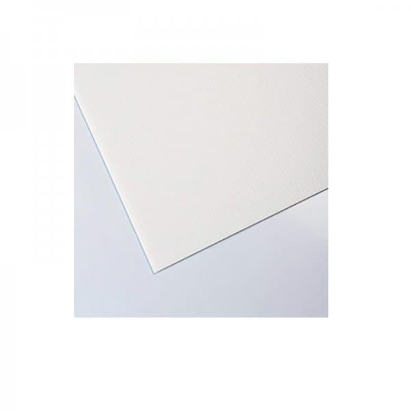 Placa plastonda branco 50x100cm 2,5mm Polimark 