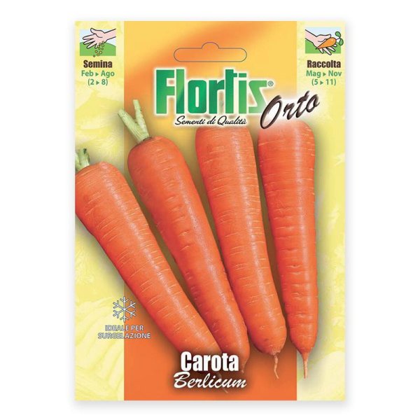 Semente cenoura carota berlicum Flortis 