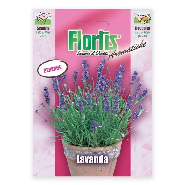 Semente lavanda Flortis 