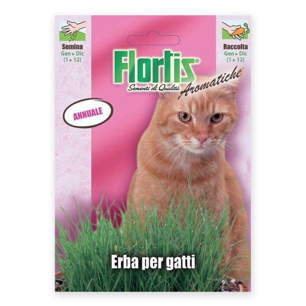 Semente erva gato Flortis 