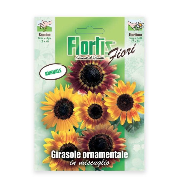 Semente girassol ornamental Flortis 