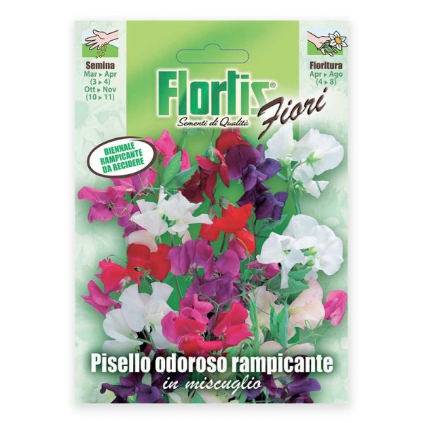 Semente erva de cheiro rampicante Flortis 