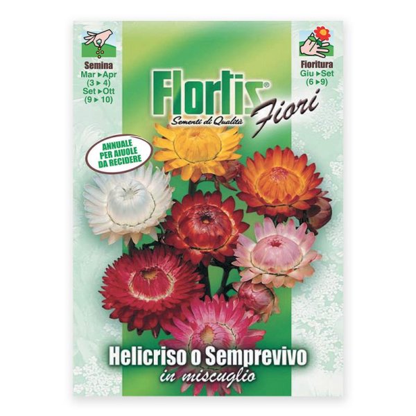 Semente helicriso Flortis 