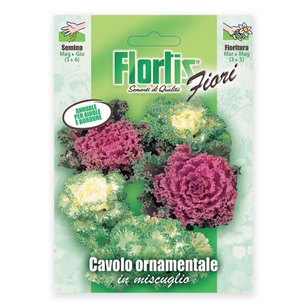 Semente couve ornamental Flortis 