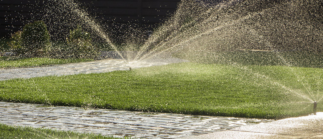 O que é uma rega automática